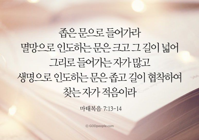돌머리아저씨 이미지