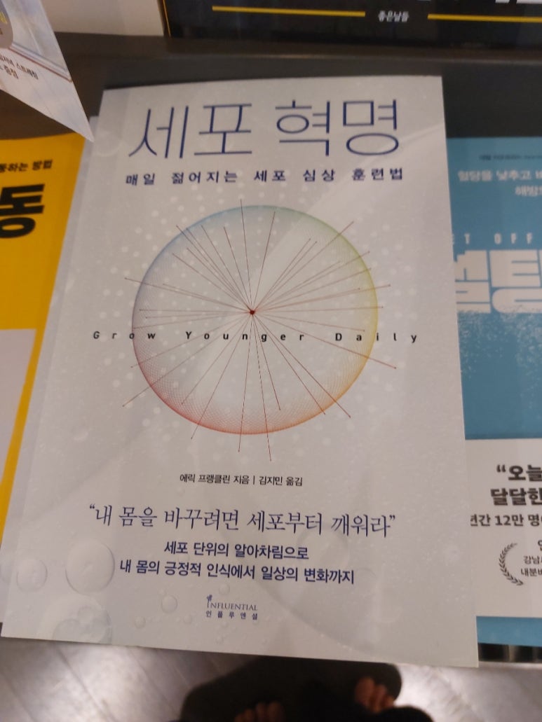 영풍채소 이미지