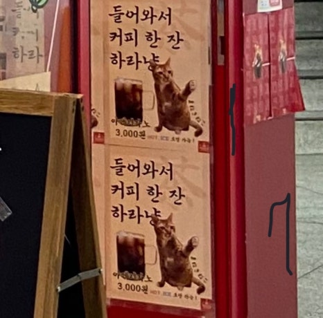 옥쓔타코 이미지