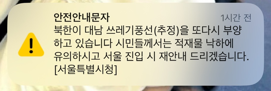 비디엠티 이미지