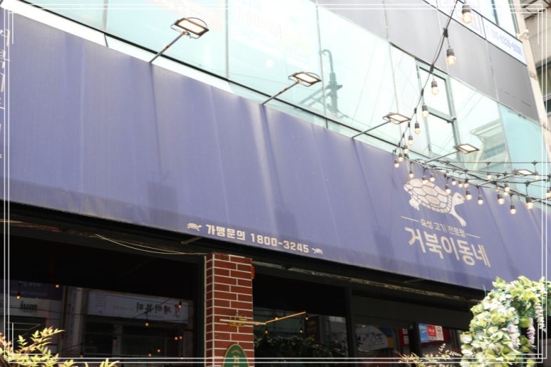 거북이동네창원 이미지