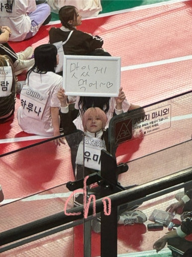 디끌레 이미지