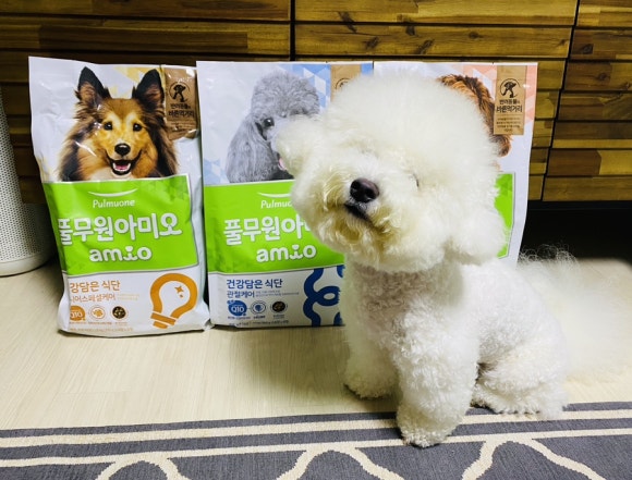 더 바른 먹거리 이미지