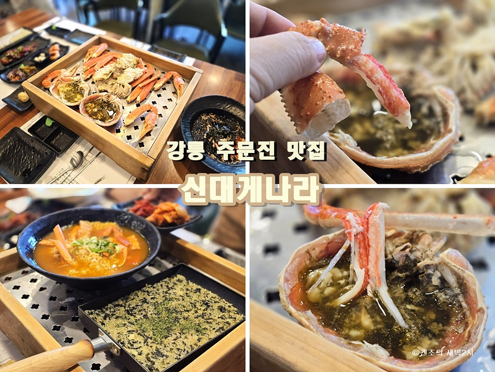 신대게나라 이미지