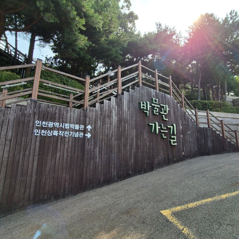 티제이여행사 이미지