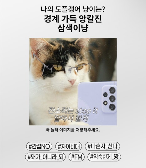 구황작물 이미지