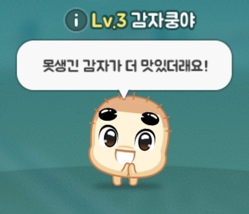 감자펜션 이미지