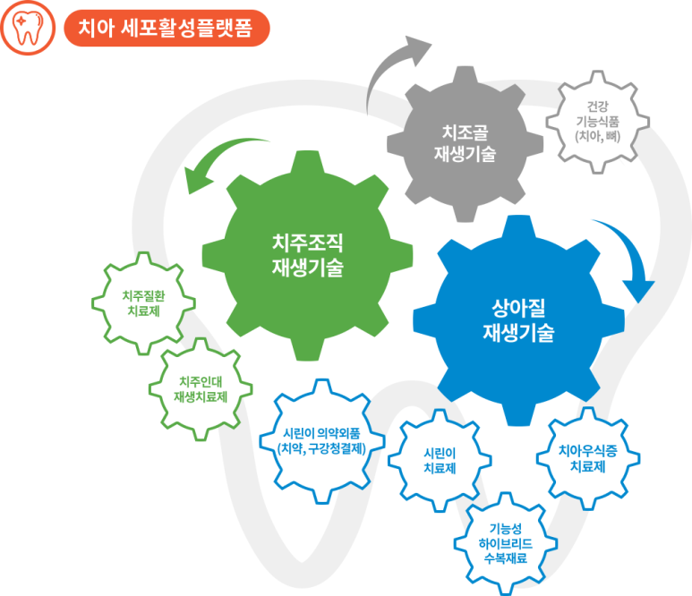 하이치과 이미지