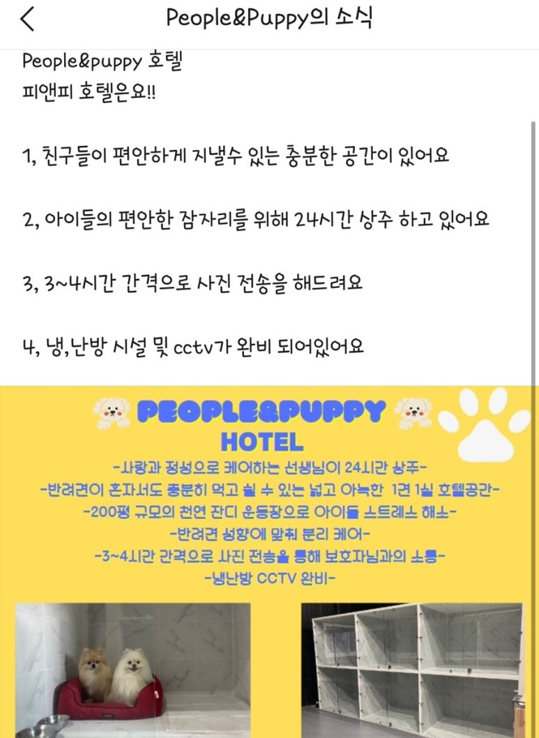앤PEOPLE 이미지