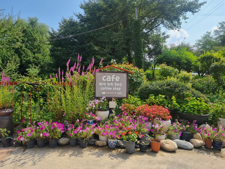 달빛향펜션 이미지