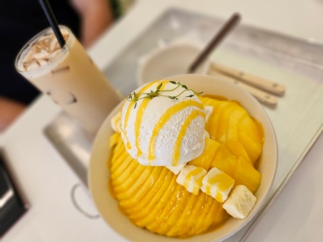 달브로 이미지