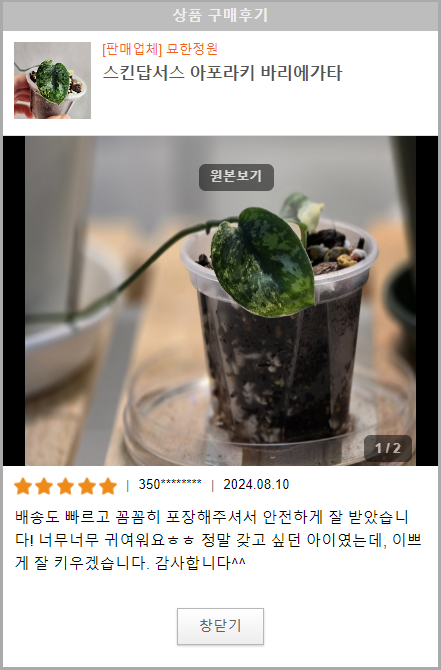 묘한정원 이미지