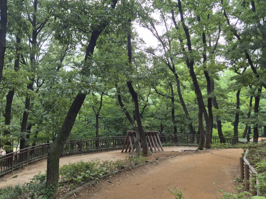 꿩고개 유아숲체험원 이미지