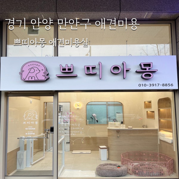 쁘띠아 이미지