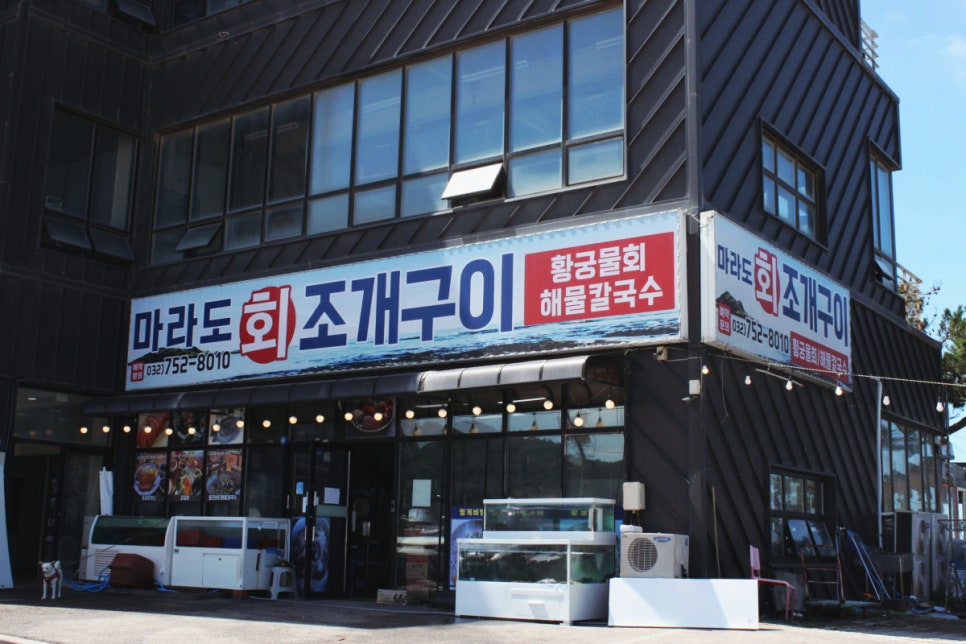 회앤조개 이미지