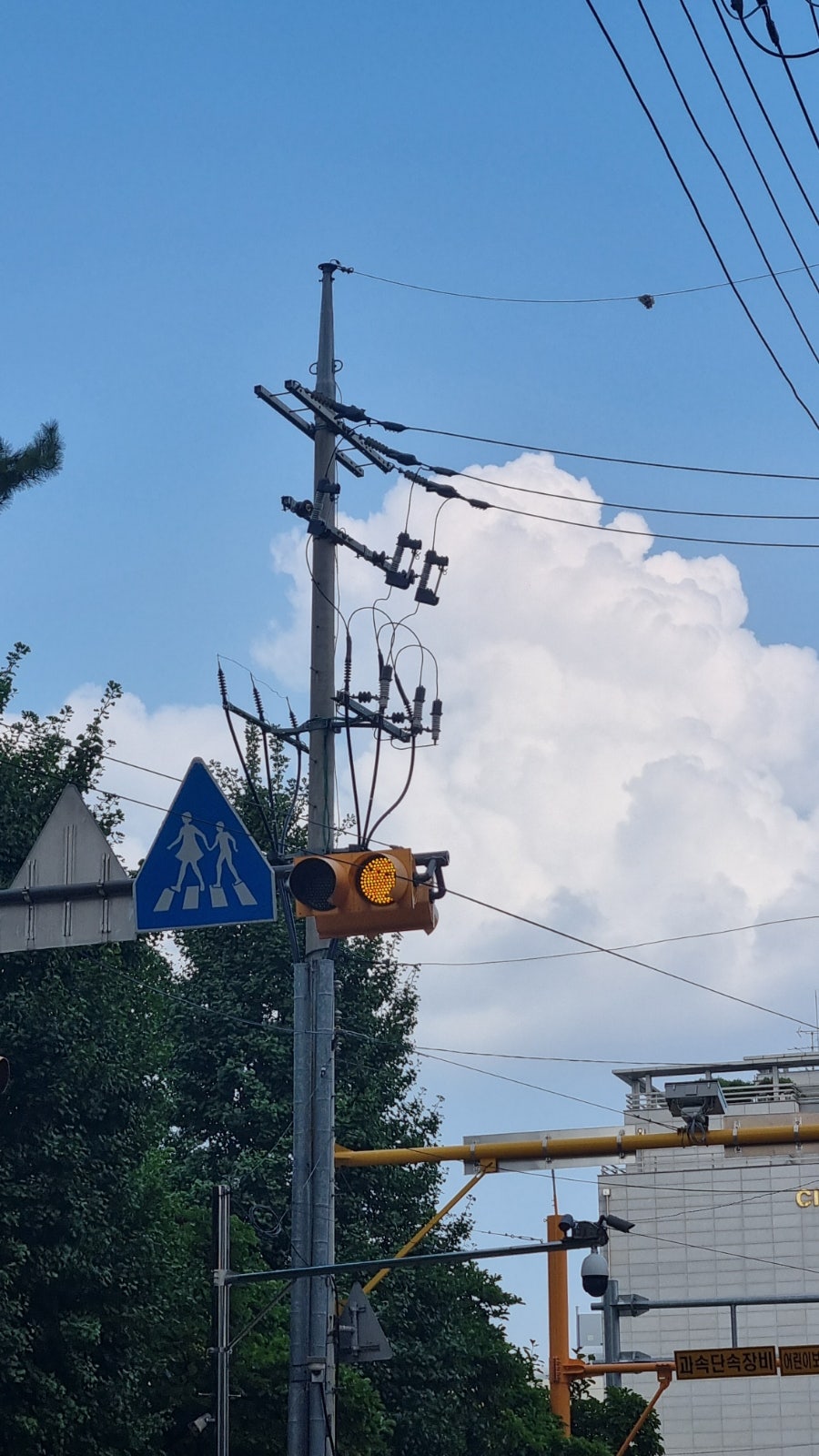 태산플라워 이미지