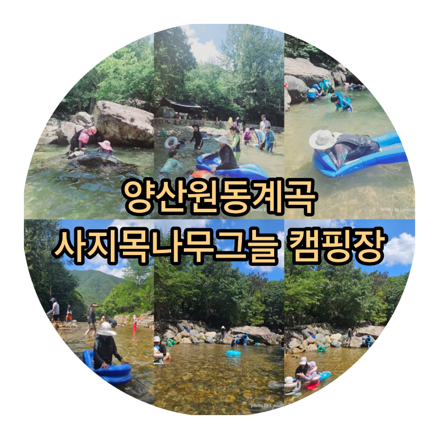 사지목나무그늘 이미지