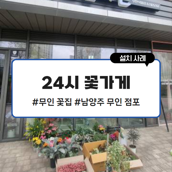 24시꽃 이미지