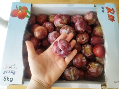 카페오감당 이미지