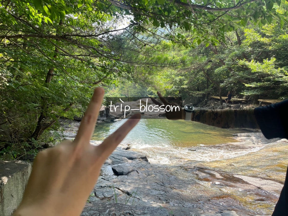 산청군농협신안점하나로마트 이미지