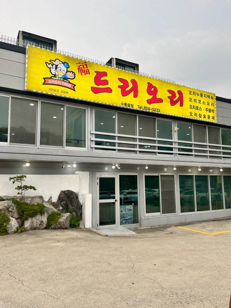 복드리오리 이미지