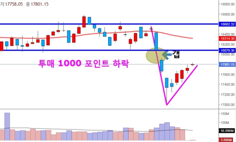 닥스종합 이미지