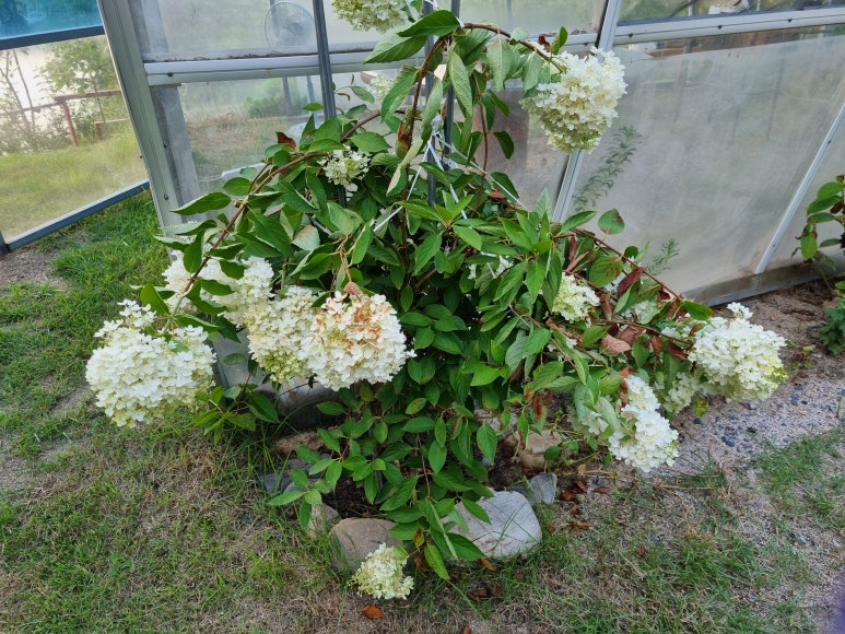 달빛향펜션 이미지