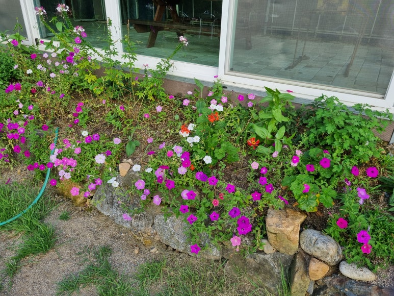 달빛향펜션 이미지