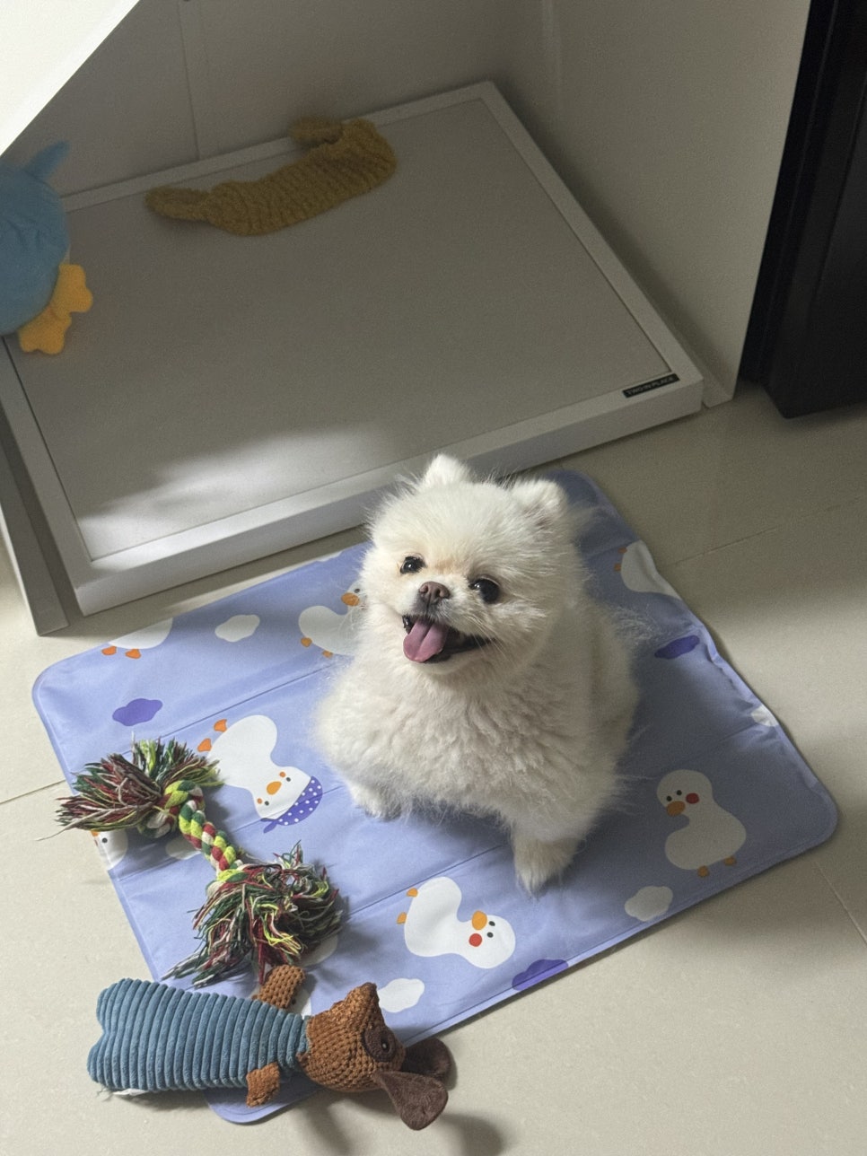 탑네일 이미지