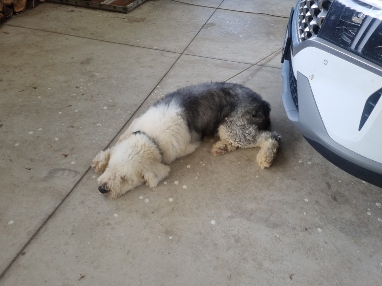 달빛향펜션 이미지