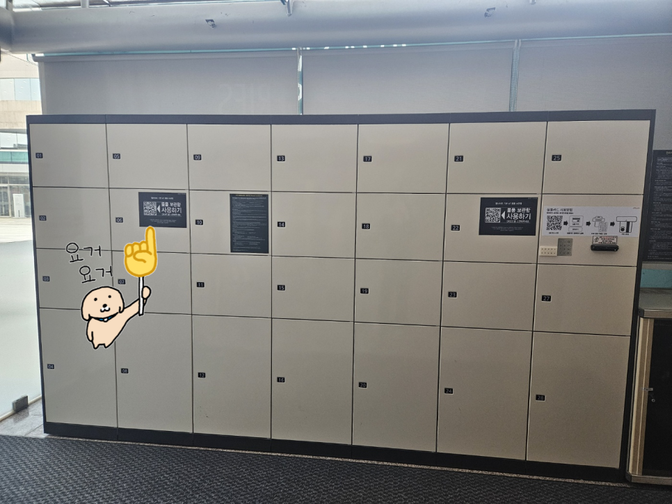 듀오짐 이미지