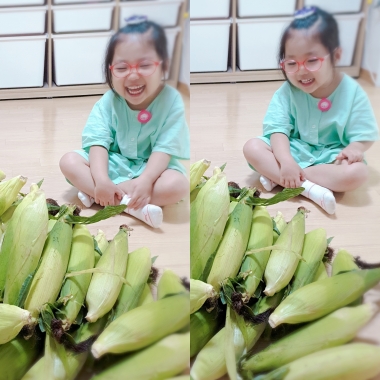 자매집옥수수 이미지