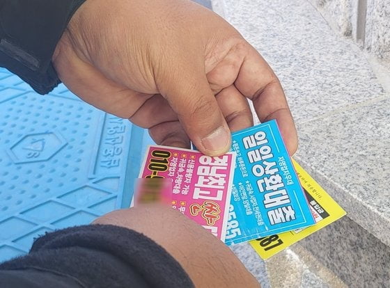 비사채 이미지