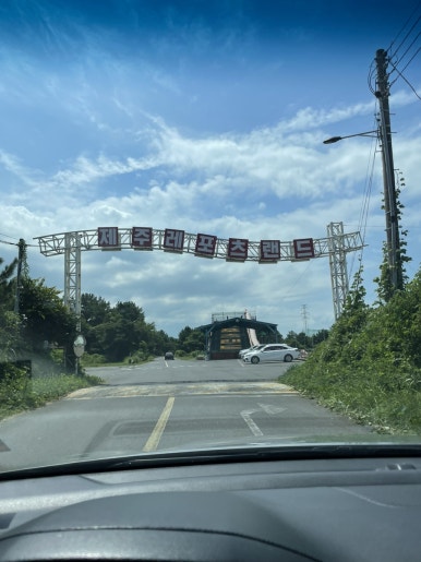 카트렌드 이미지