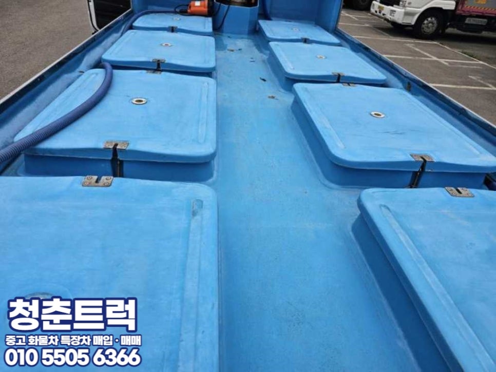 청춘활어 이미지