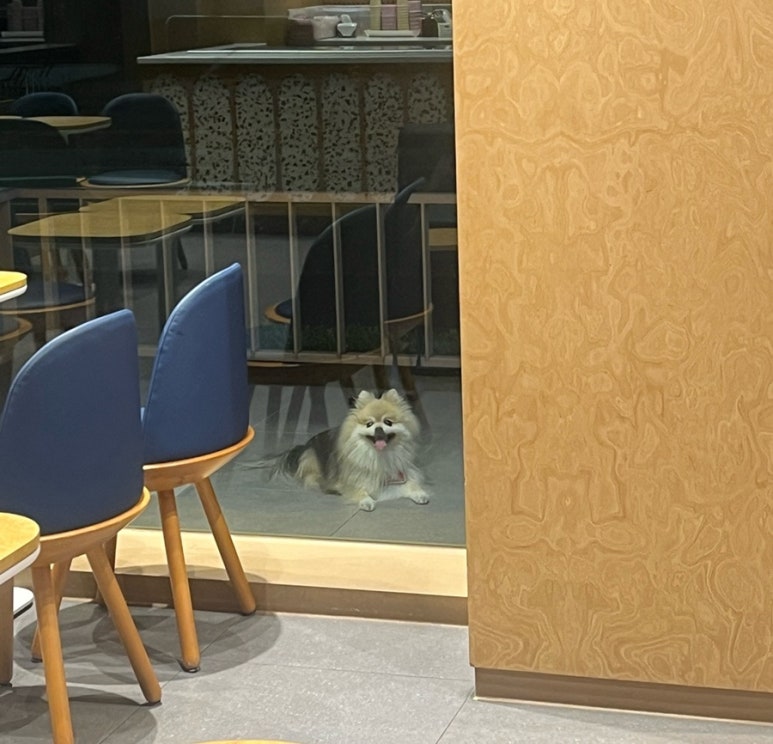 배스킨라빈스 광교호수마을 이미지