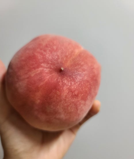 대명청과 이미지