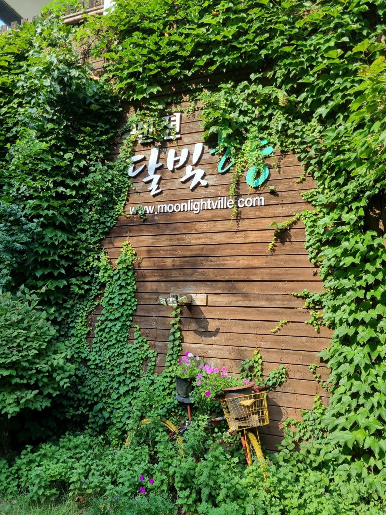 달빛향펜션 이미지