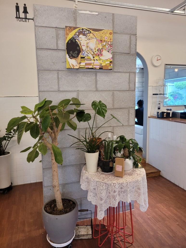 졸리굿 이미지