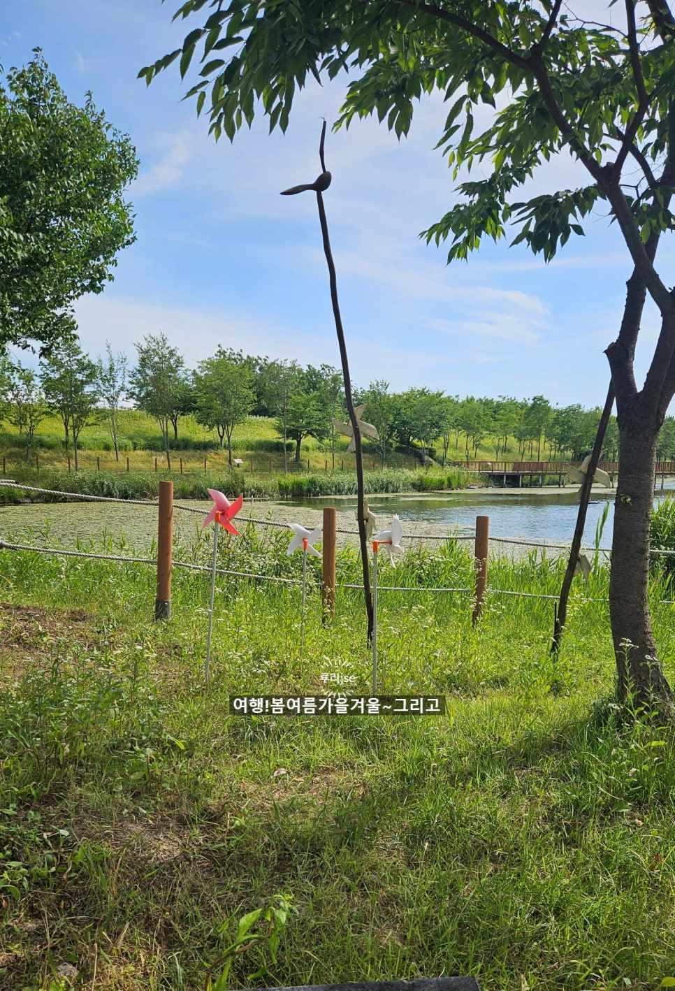 누리루리 이미지