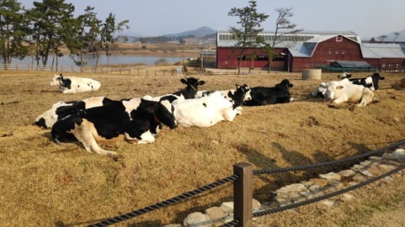 신세계농원 이미지