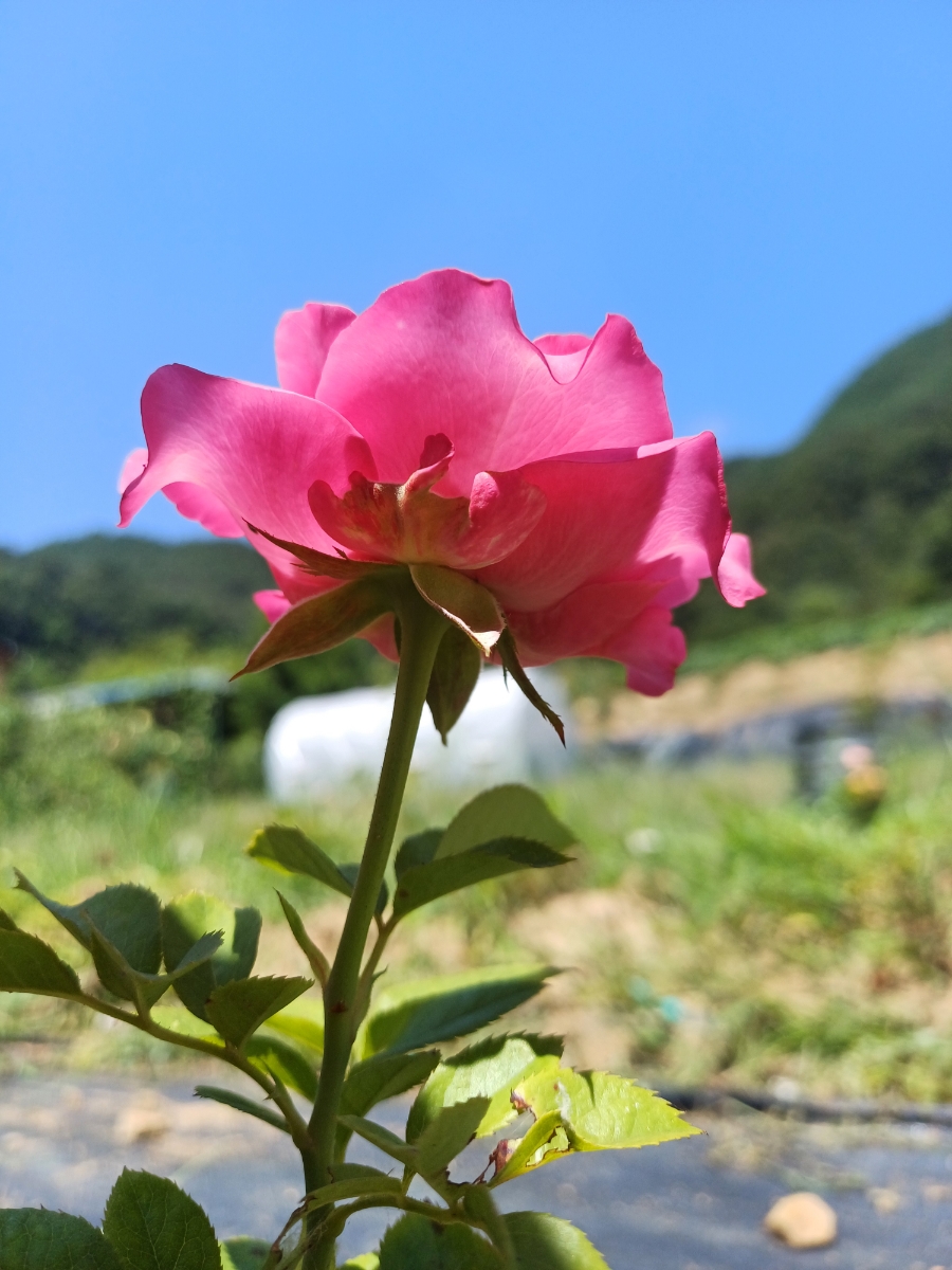 올포러브 이미지