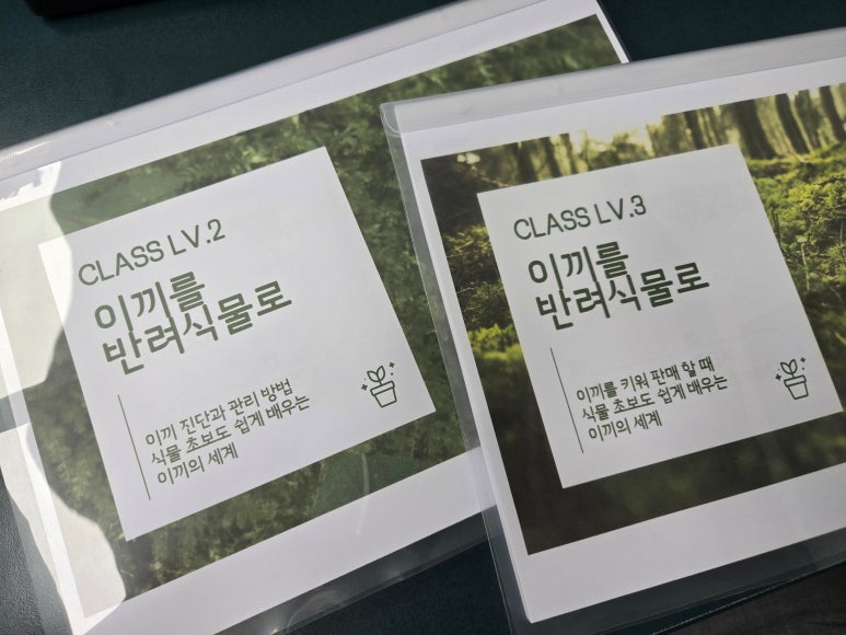 인자락 이미지