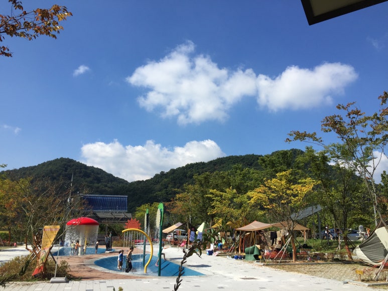 강변사리 이미지
