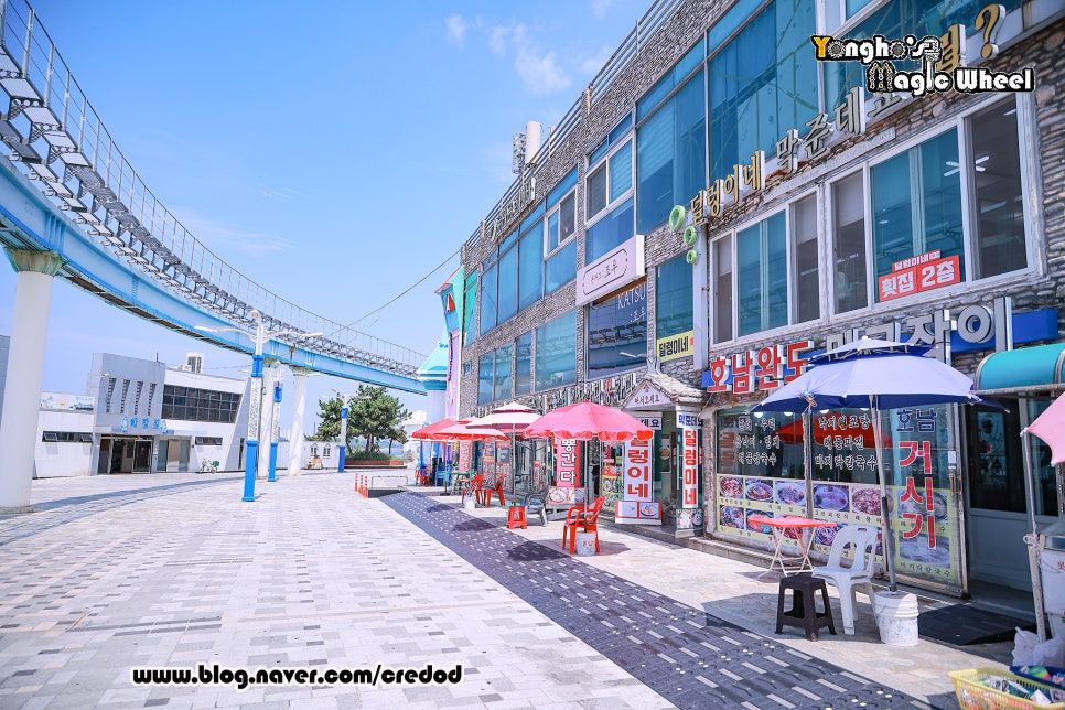 호남완도마구잡이 이미지