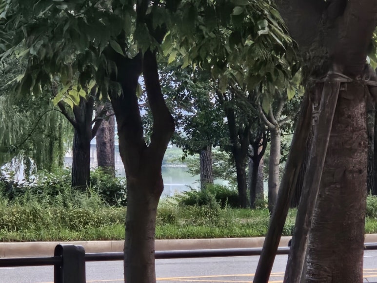 포시즌키친광교 이미지