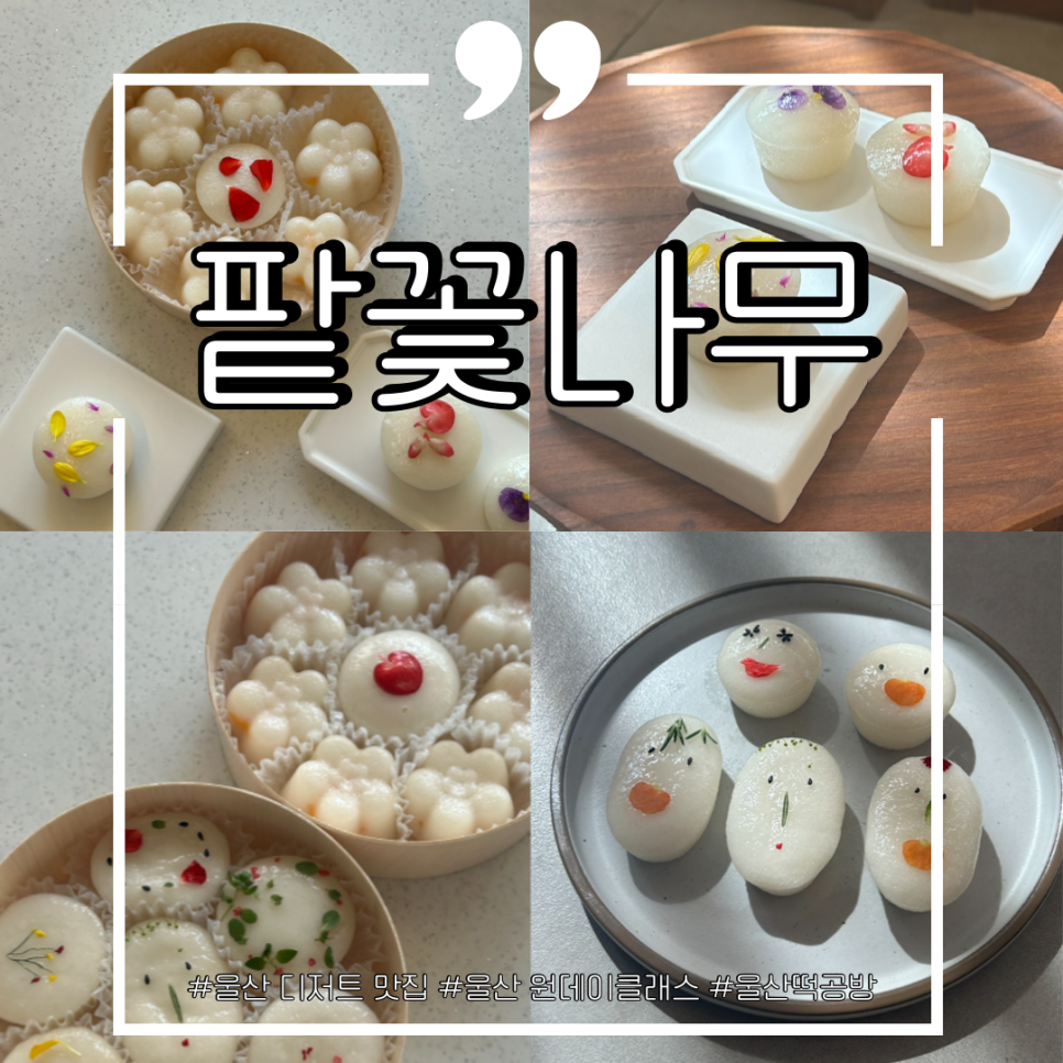 팥꽃나무병과점 이미지