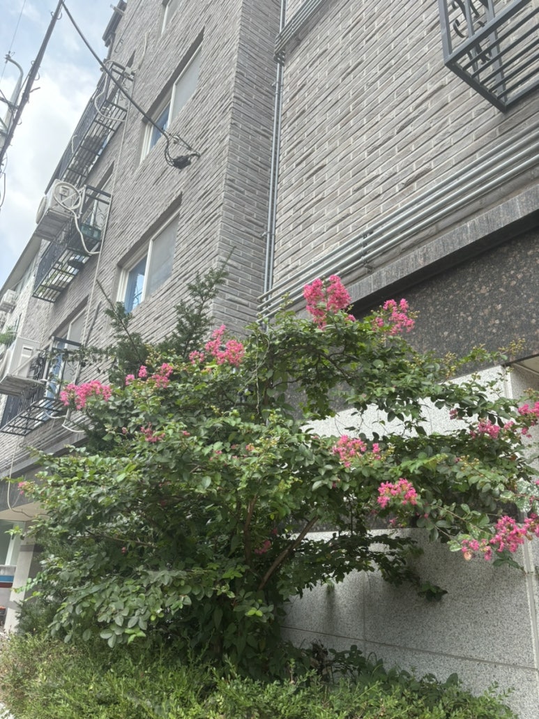 맑은샘정신건강의학과 이미지