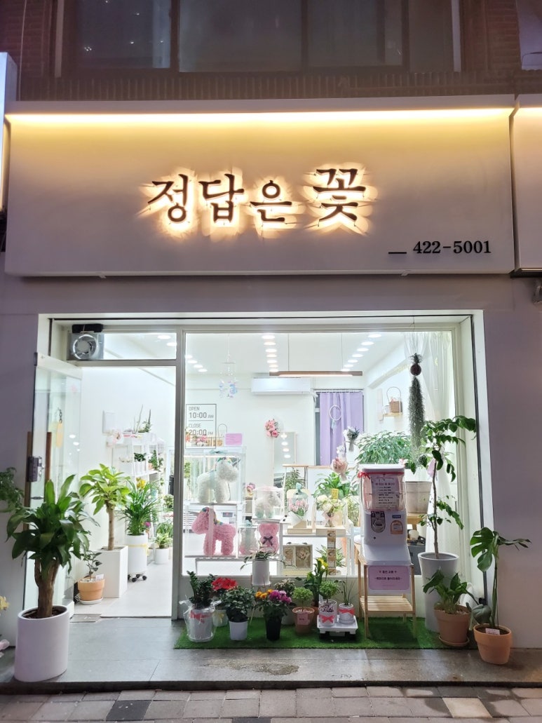 정답은꽃 이미지