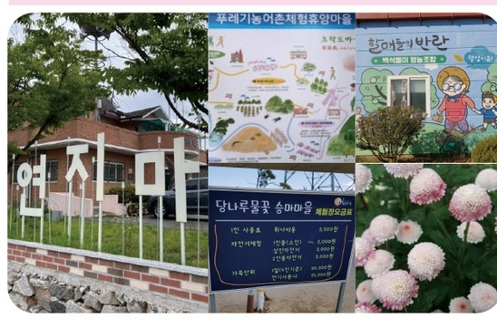 세은식품 이미지
